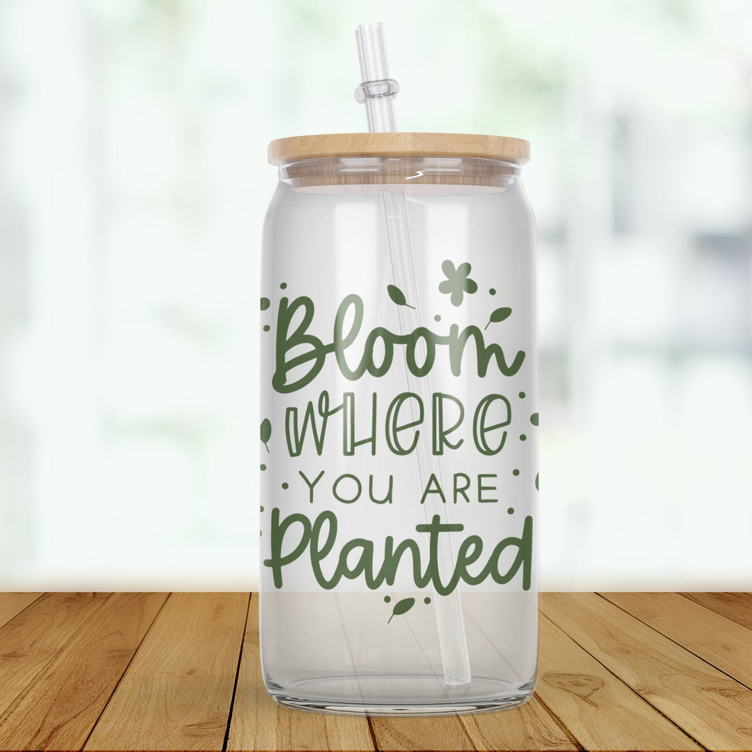 Bloom Where You're Planted