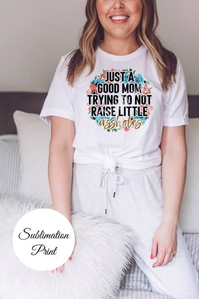 Just a Good Mom Trying Not To Raise Little Assholes